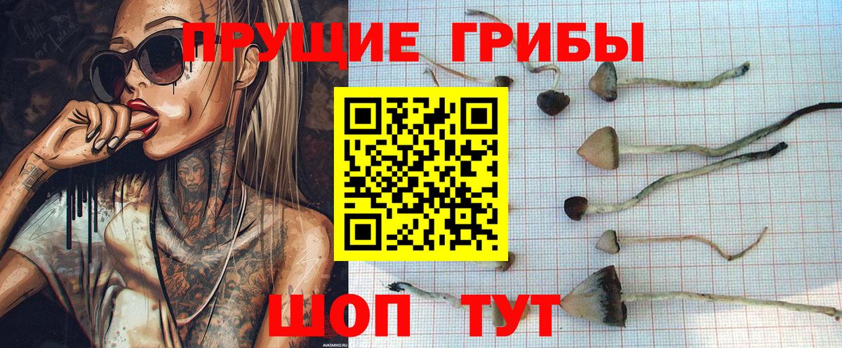 Псилоцибиновые грибы Magic Shrooms Знаменск