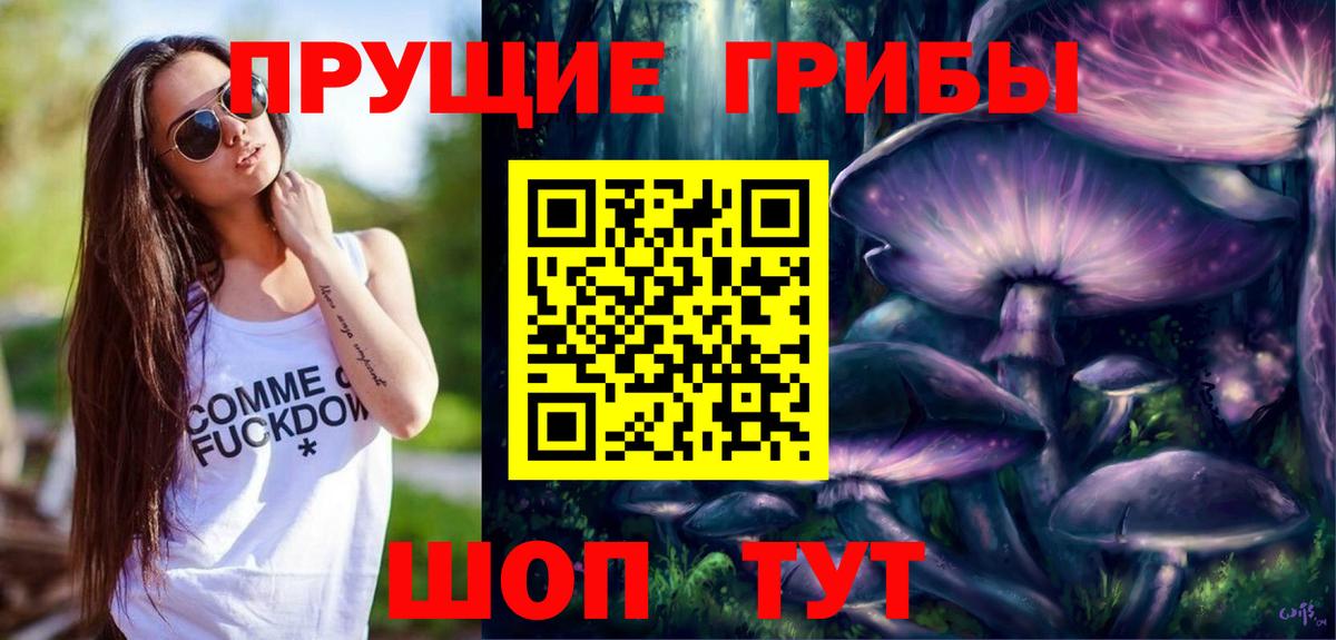 Псилоцибиновые грибы мухоморы  Псилоцибиновые грибы Psilocybine cubensis  Знаменск  Вход с VPN 